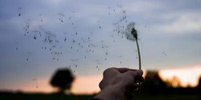 wind-blows